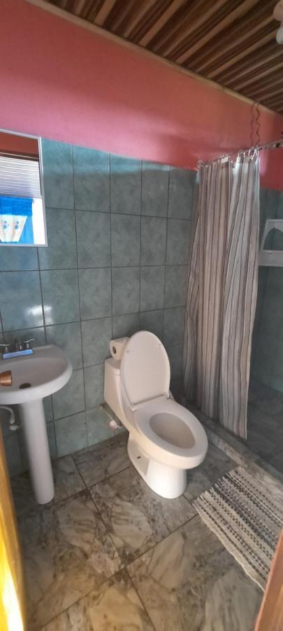 Casa Caribe Bed and Breakfast Tortuguero Buitenkant foto
