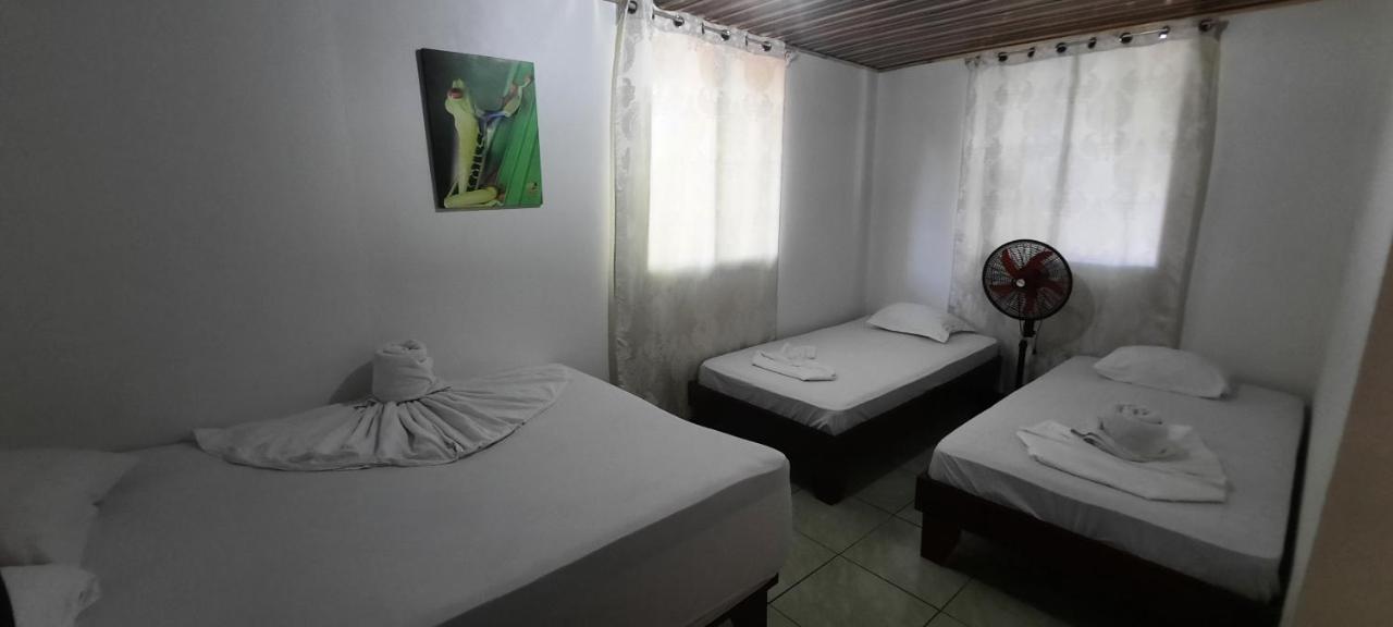 Casa Caribe Bed and Breakfast Tortuguero Buitenkant foto