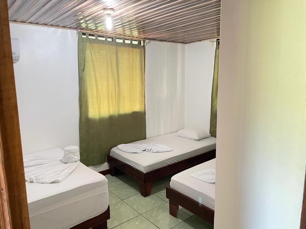 Casa Caribe Bed and Breakfast Tortuguero Buitenkant foto