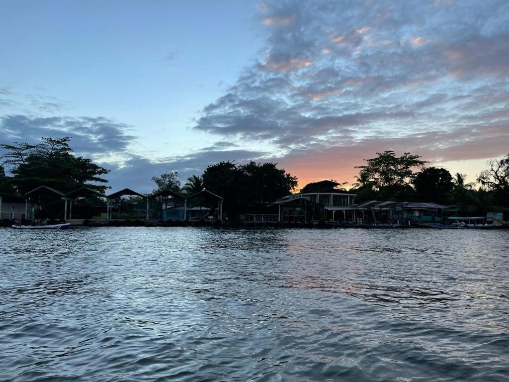 Casa Caribe Bed and Breakfast Tortuguero Buitenkant foto
