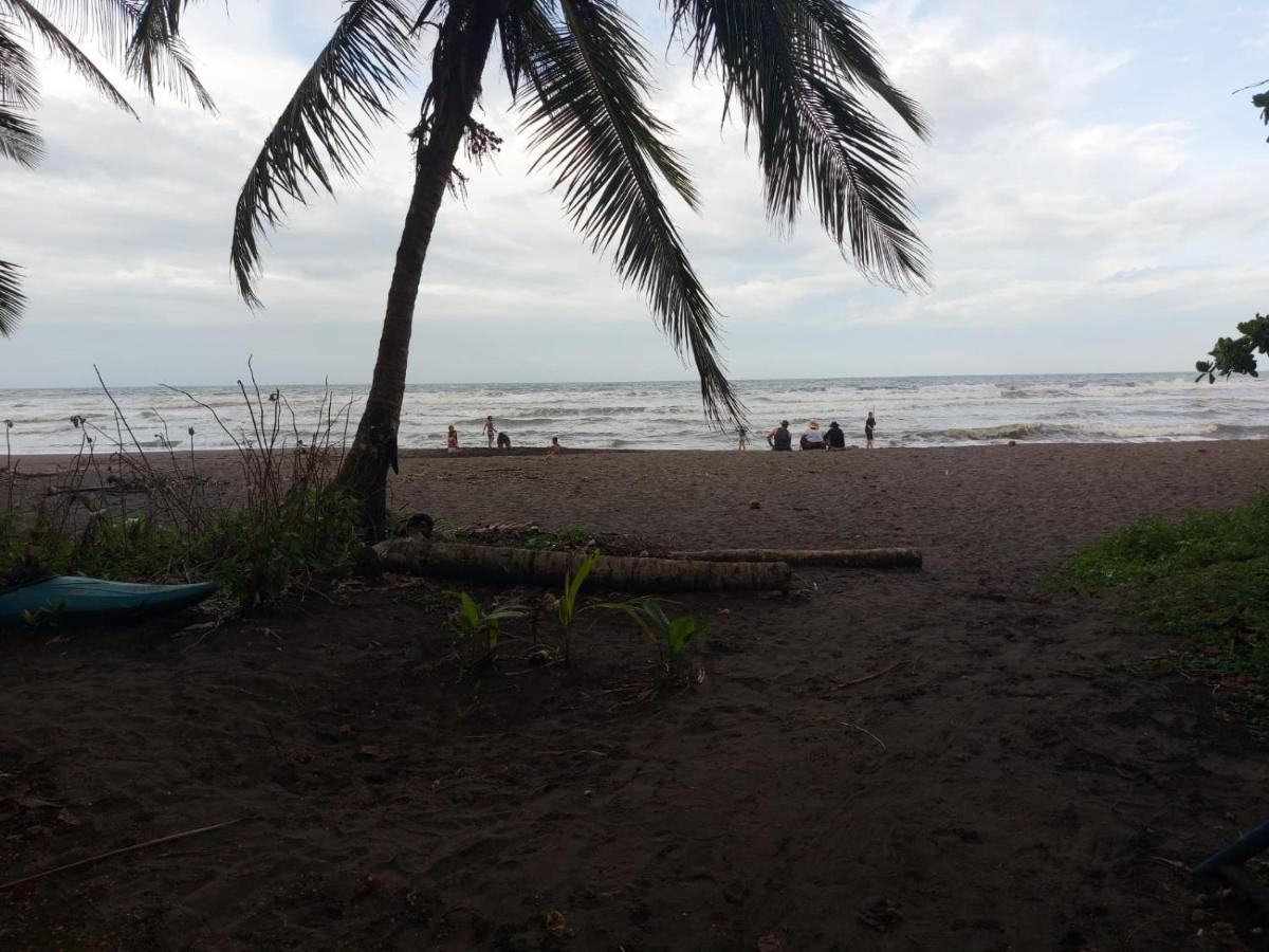 Casa Caribe Bed and Breakfast Tortuguero Buitenkant foto